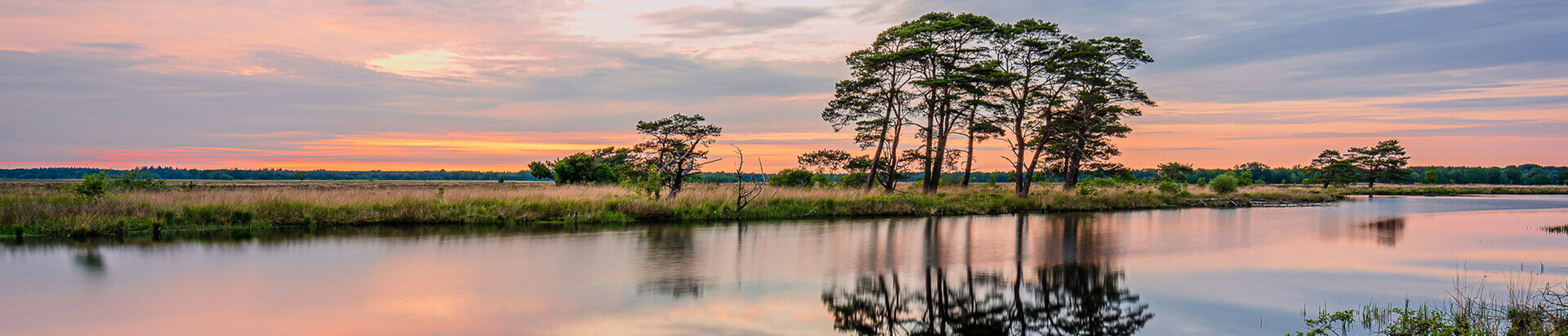 K100 Series Filters (2mm)