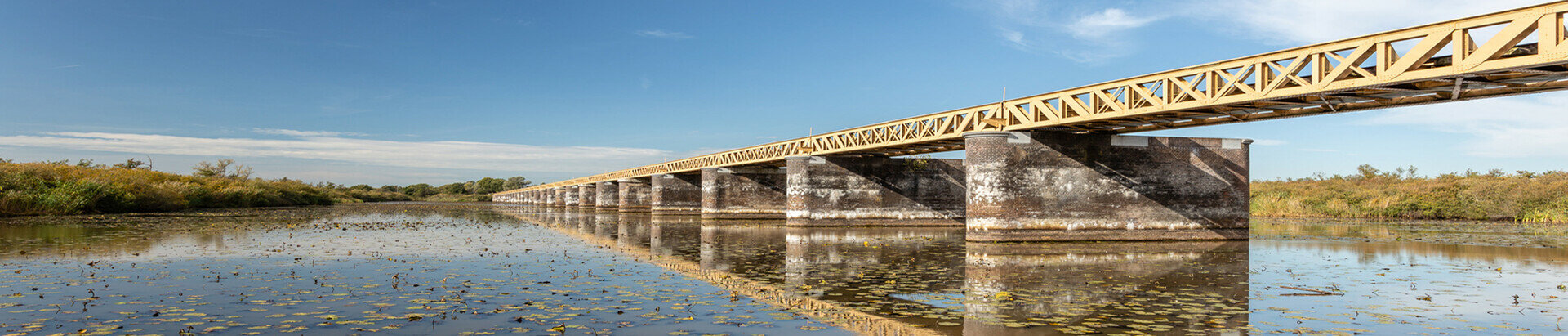 Filtertassen & Accessoires