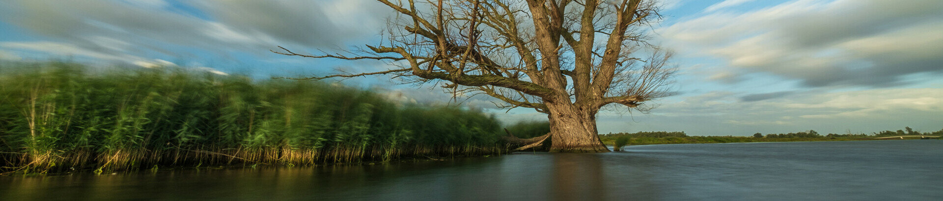 square filter adapter ringen