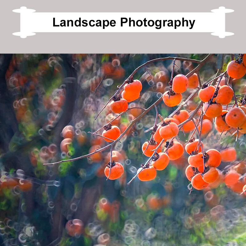 Kase Reflex Lens 200mm 5.6 Sony E